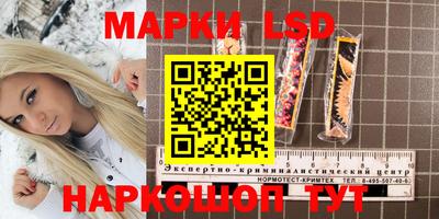 ешки Сланцы