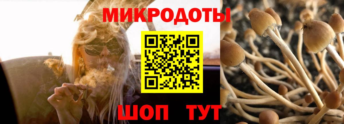 Назрань  Псилоцибиновые грибы MAGIC MUSHROOMS  Вход с VPN  Псилоцибиновые грибы мухоморы 